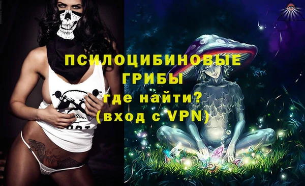 твердый Арсеньев