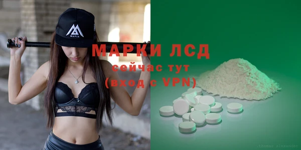 гашик Аркадак