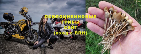 амф Болхов