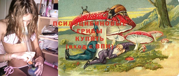 гашик Аркадак
