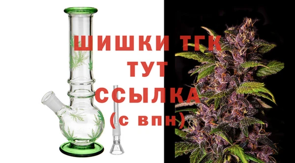 гашик Аркадак
