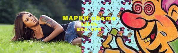 гашик Аркадак