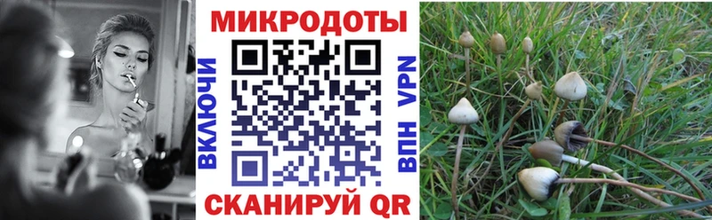 купить наркотики сайты  shop клад  Галлюциногенные грибы прущие грибы  Качканар 